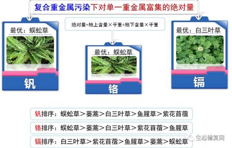 植物吸收重金屬|重金屬污染土壤以本土植物 育之探討